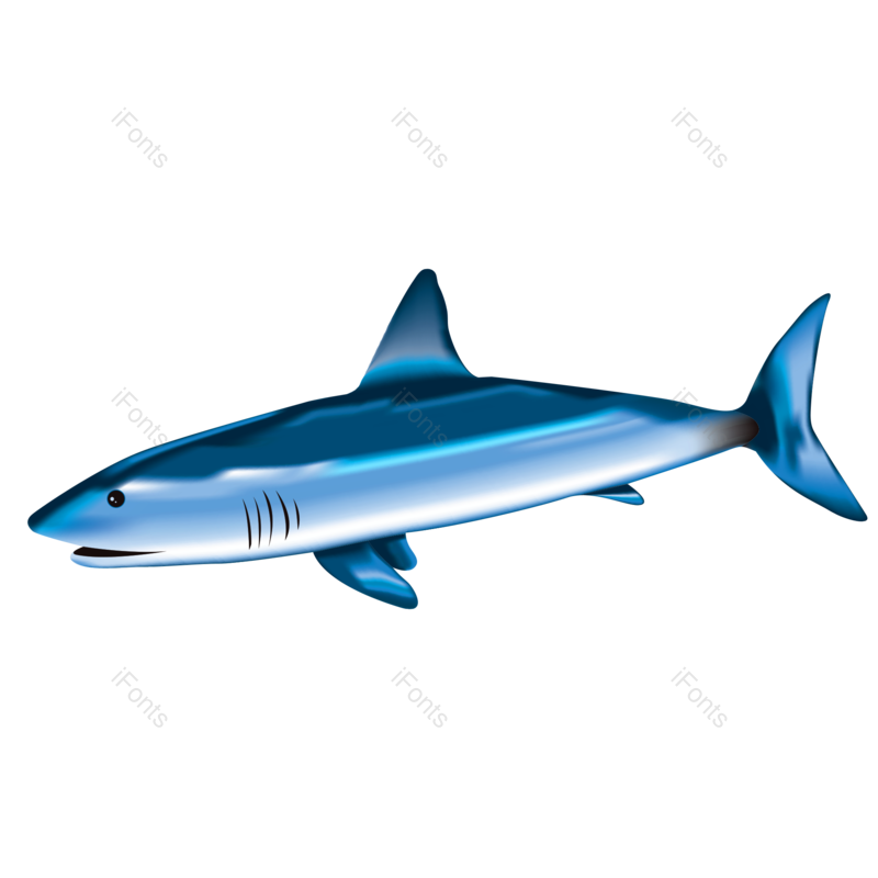 海洋生物图片,海底世界元素,PNG,免抠素材